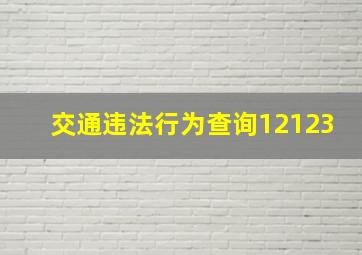 交通违法行为查询12123