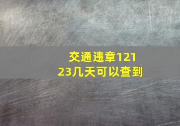 交通违章12123几天可以查到