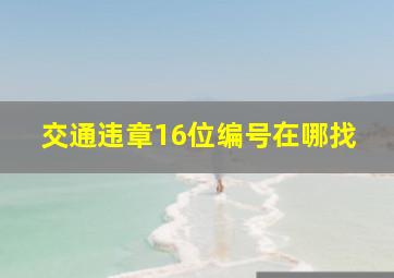 交通违章16位编号在哪找