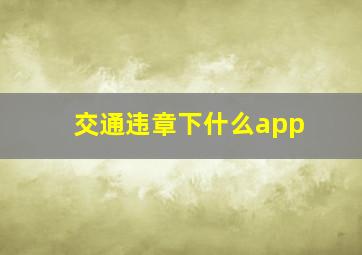 交通违章下什么app