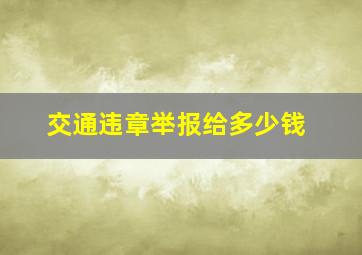 交通违章举报给多少钱