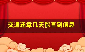 交通违章几天能查到信息