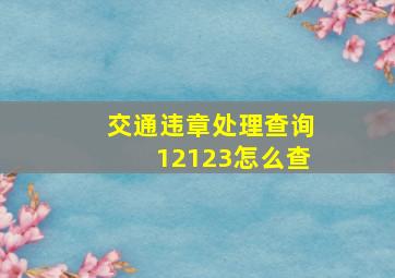 交通违章处理查询12123怎么查