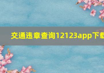 交通违章查询12123app下载