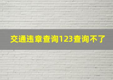 交通违章查询123查询不了