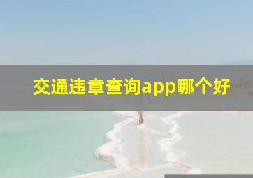 交通违章查询app哪个好