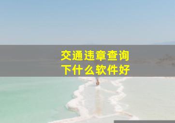 交通违章查询下什么软件好