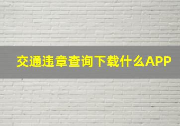 交通违章查询下载什么APP