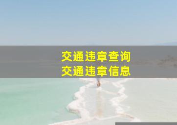 交通违章查询交通违章信息