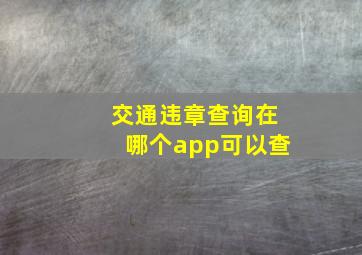 交通违章查询在哪个app可以查