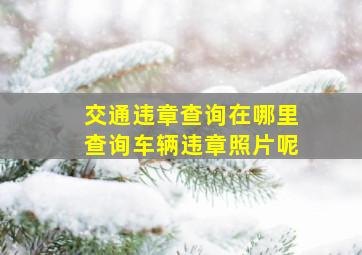 交通违章查询在哪里查询车辆违章照片呢