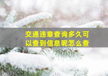 交通违章查询多久可以查到信息呢怎么查