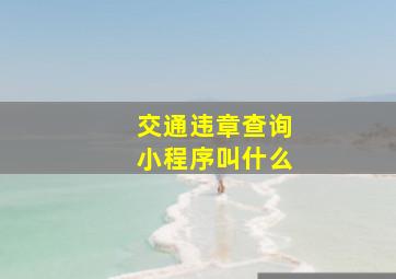 交通违章查询小程序叫什么