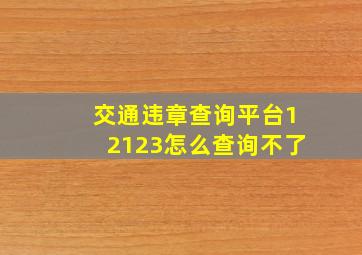 交通违章查询平台12123怎么查询不了