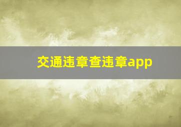 交通违章查违章app