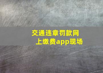 交通违章罚款网上缴费app现场