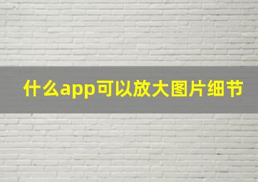 什么app可以放大图片细节