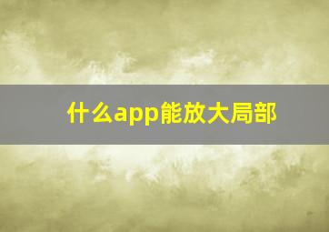 什么app能放大局部