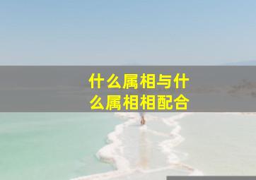 什么属相与什么属相相配合