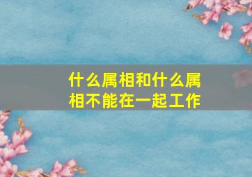 什么属相和什么属相不能在一起工作