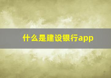 什么是建设银行app