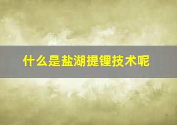 什么是盐湖提锂技术呢