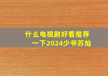 什么电视剧好看推荐一下2024少爷苏灿