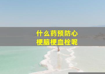 什么药预防心梗脑梗血栓呢