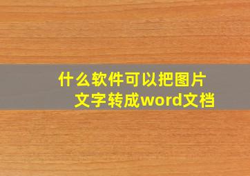 什么软件可以把图片文字转成word文档