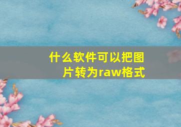 什么软件可以把图片转为raw格式