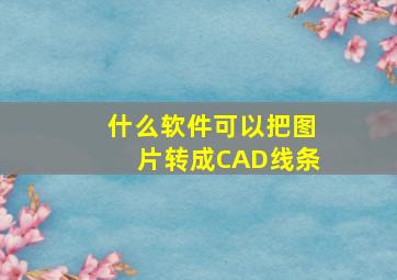 什么软件可以把图片转成CAD线条