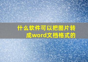 什么软件可以把图片转成word文档格式的