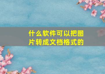 什么软件可以把图片转成文档格式的