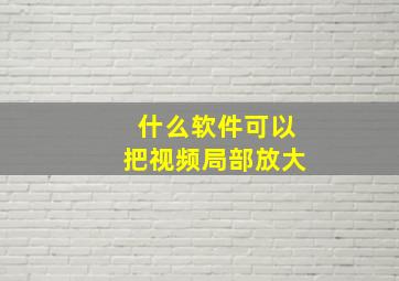 什么软件可以把视频局部放大