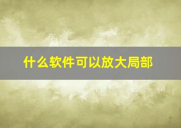 什么软件可以放大局部