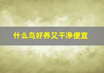 什么鸟好养又干净便宜