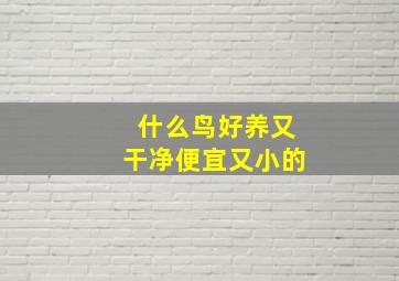 什么鸟好养又干净便宜又小的