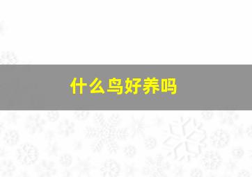 什么鸟好养吗