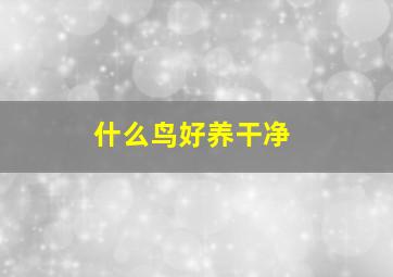 什么鸟好养干净