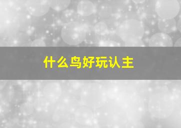 什么鸟好玩认主