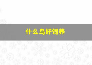 什么鸟好饲养