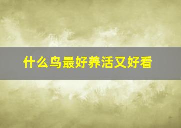 什么鸟最好养活又好看