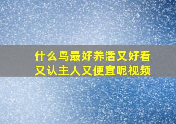 什么鸟最好养活又好看又认主人又便宜呢视频