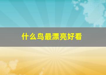 什么鸟最漂亮好看