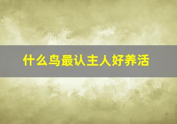 什么鸟最认主人好养活