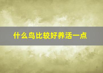 什么鸟比较好养活一点