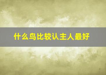 什么鸟比较认主人最好