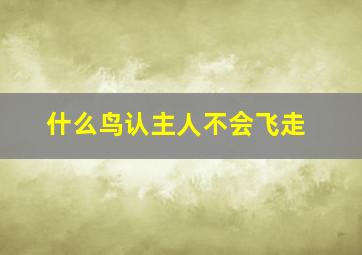 什么鸟认主人不会飞走