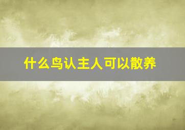 什么鸟认主人可以散养