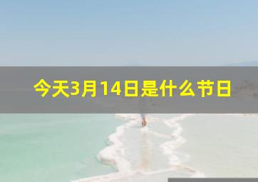 今天3月14日是什么节日